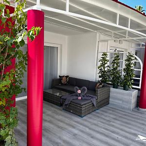 Standard Bungalow